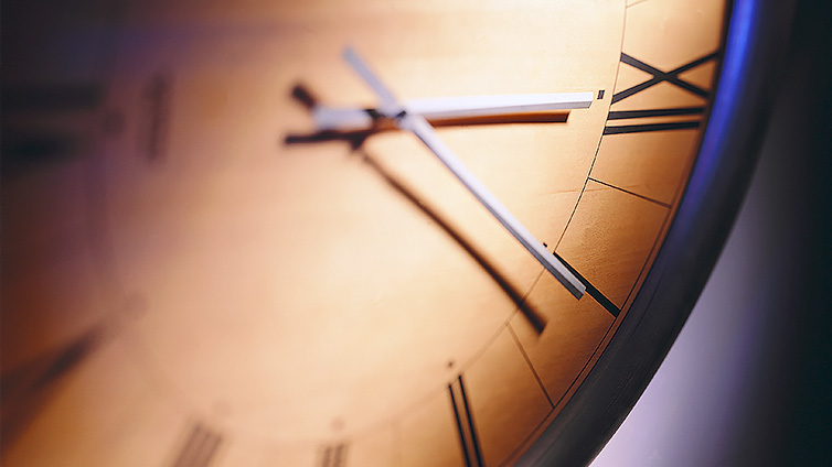 【会议通知】中国菌物学会2025年学术年会