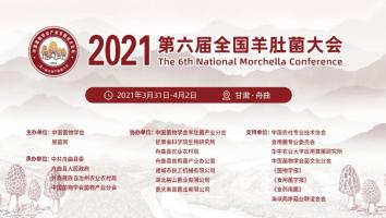 2021第六届全国羊肚菌大会